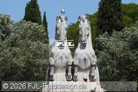 Bild-Nr.: 2602163