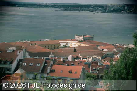 Bild-Nr.: 2602206