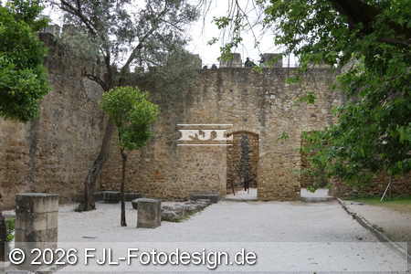 Bild-Nr.: 2602230