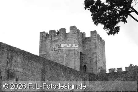 Bild-Nr.: 2602234