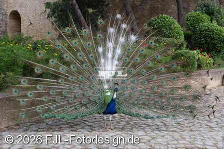 Bild-Nr.: 2602245