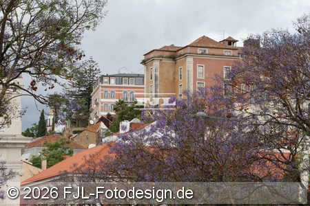 Bild-Nr.: 2602295