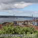 Bild-Nr./Picture No.: 2602206