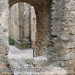 Bild-Nr./Picture No.: 2602231
