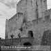 Bild-Nr./Picture No.: 2602237