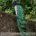 Bild-Nr./Picture No.: 2602239