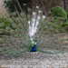 Bild-Nr./Picture No.: 2602244