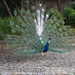 Bild-Nr./Picture No.: 2602245