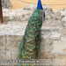 Bild-Nr./Picture No.: 2602248