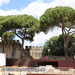 Bild-Nr./Picture No.: 2602250