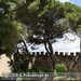Bild-Nr./Picture No.: 2602251