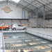 Bild-Nr./Picture No.: 2602303