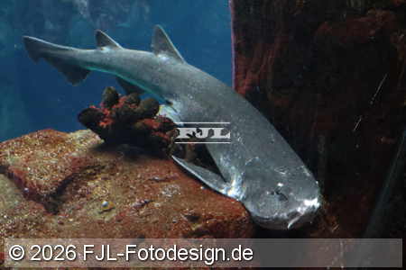 Bild-Nr.: 2602423