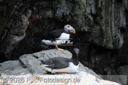 Bild-Nr.: 2602424