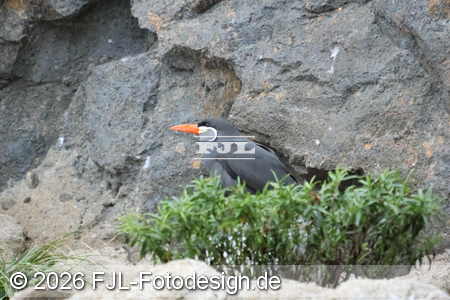 Bild-Nr.: 2602429