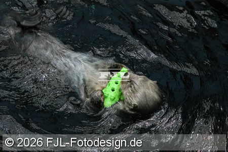 Bild-Nr.: 2602439