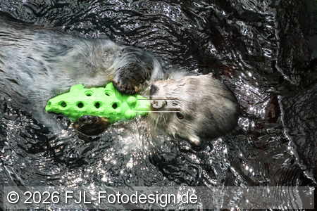 Bild-Nr.: 2602440