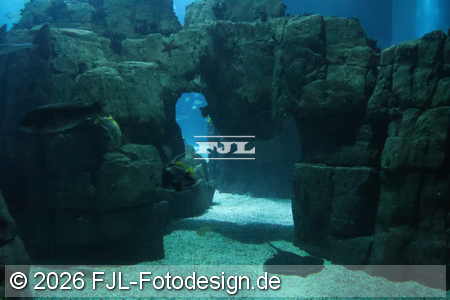 Bild-Nr.: 2602447