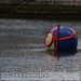 Bild-Nr./Picture No.: 2602416