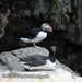Bild-Nr./Picture No.: 2602423
