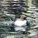 Bild-Nr./Picture No.: 2602424