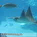 Bild-Nr./Picture No.: 2602426