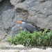 Bild-Nr./Picture No.: 2602428