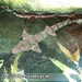 Bild-Nr./Picture No.: 2602433
