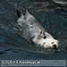 Bild-Nr./Picture No.: 2602434