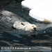 Bild-Nr./Picture No.: 2602436