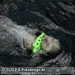 Bild-Nr./Picture No.: 2602438