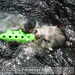 Bild-Nr./Picture No.: 2602439