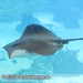 Bild-Nr./Picture No.: 2602441