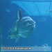 Bild-Nr./Picture No.: 2602442