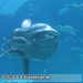 Bild-Nr./Picture No.: 2602443
