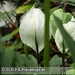 Bild-Nr./Picture No.: 2602445