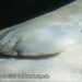 Bild-Nr./Picture No.: 2602449