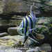 Bild-Nr./Picture No.: 2602462