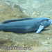 Bild-Nr./Picture No.: 2602464
