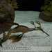 Bild-Nr./Picture No.: 2602467