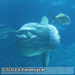 Bild-Nr./Picture No.: 2602469