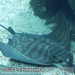 Bild-Nr./Picture No.: 2602470