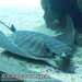 Bild-Nr./Picture No.: 2602471