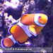 Bild-Nr./Picture No.: 2602487