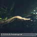 Bild-Nr./Picture No.: 2602490