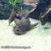 Bild-Nr./Picture No.: 2602491