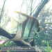 Bild-Nr./Picture No.: 2602493