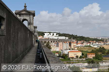 Bild-Nr.: 2602503