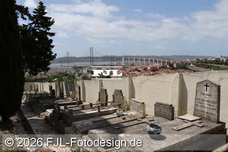 Bild-Nr.: 2602541