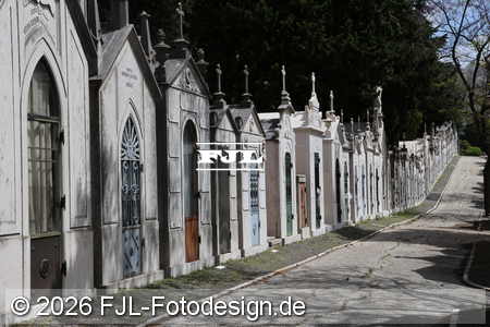 Bild-Nr.: 2602543